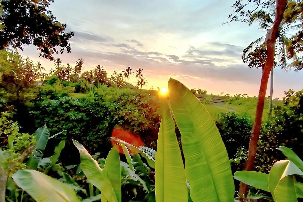 Ubud 3-Bedrooms With Sunset View Villa