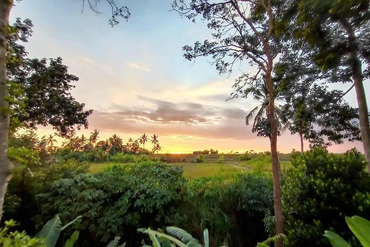Villa Ubud 3-Bedrooms With Sunset View